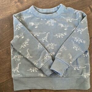 Dinosaur Sweater